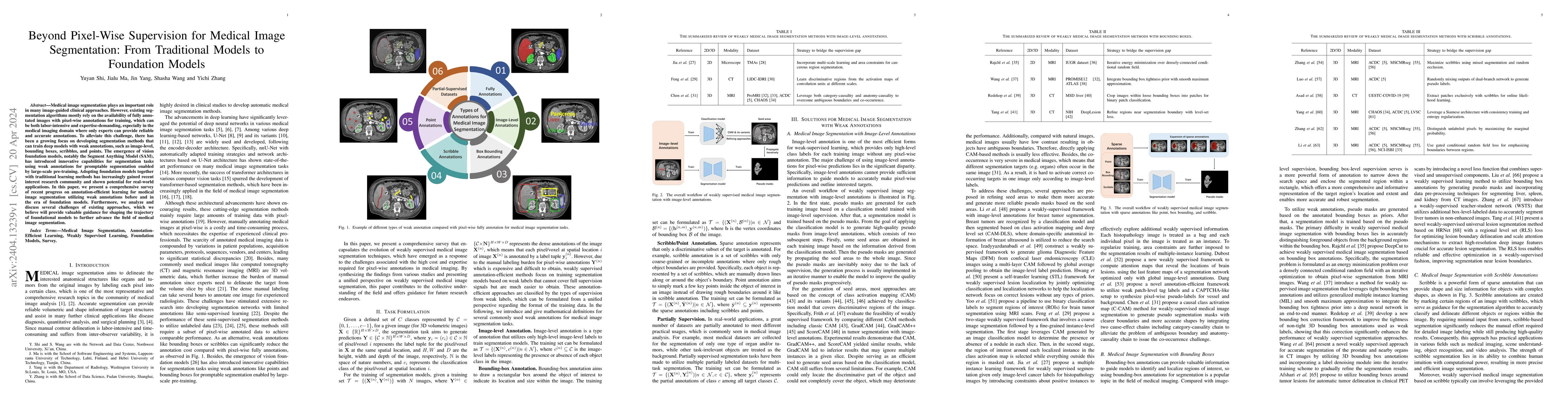 Thumbnail for Beyond Pixel-Wise Supervision for Medical Image Segmentation: From
  Traditional Models to Foundation Models
