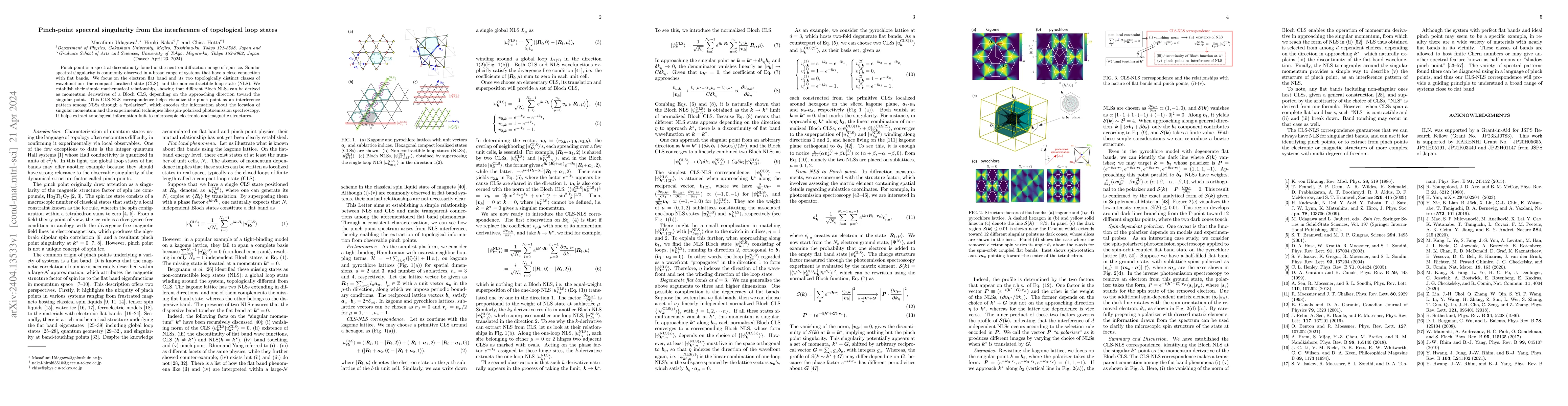 Thumbnail for Pinch-point spectral singularity from the interference of topological
  loop states