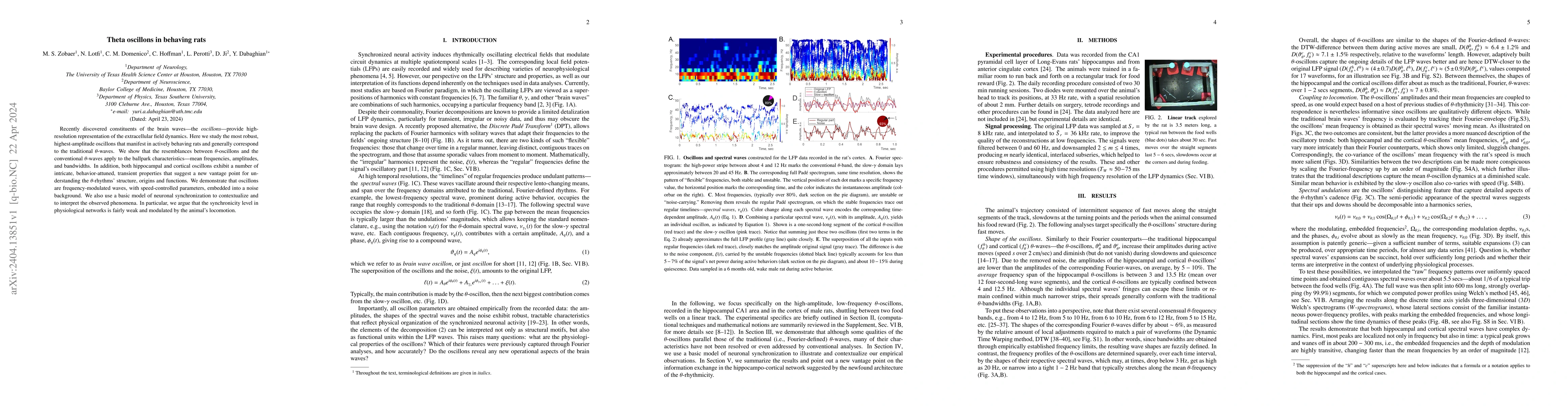 Thumbnail for Theta oscillons in behaving rats