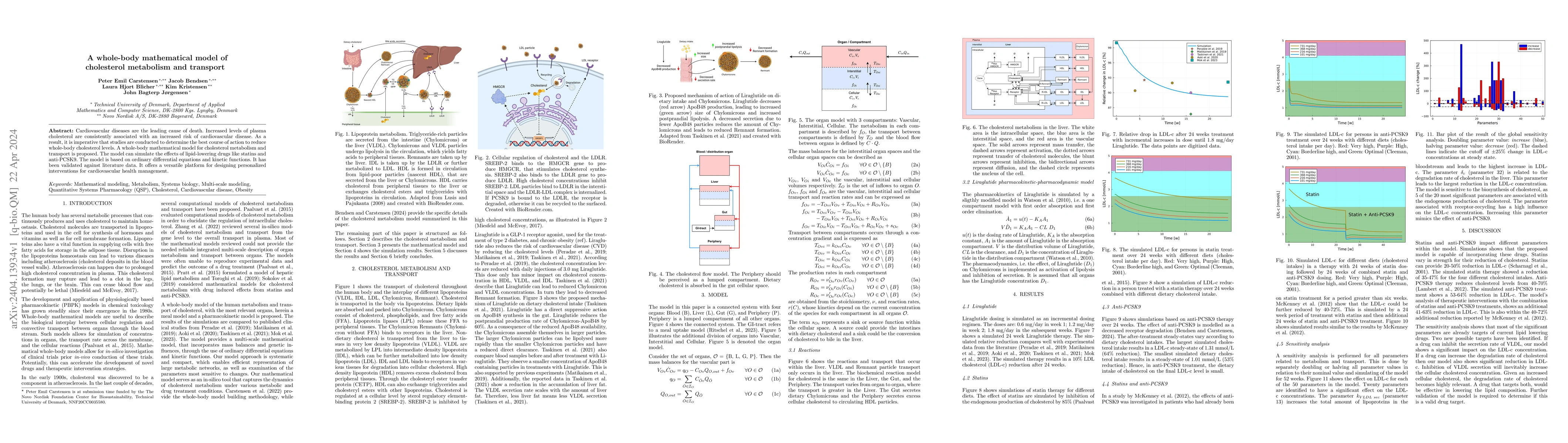 Thumbnail for A whole-body mathematical model of cholesterol metabolism and transport