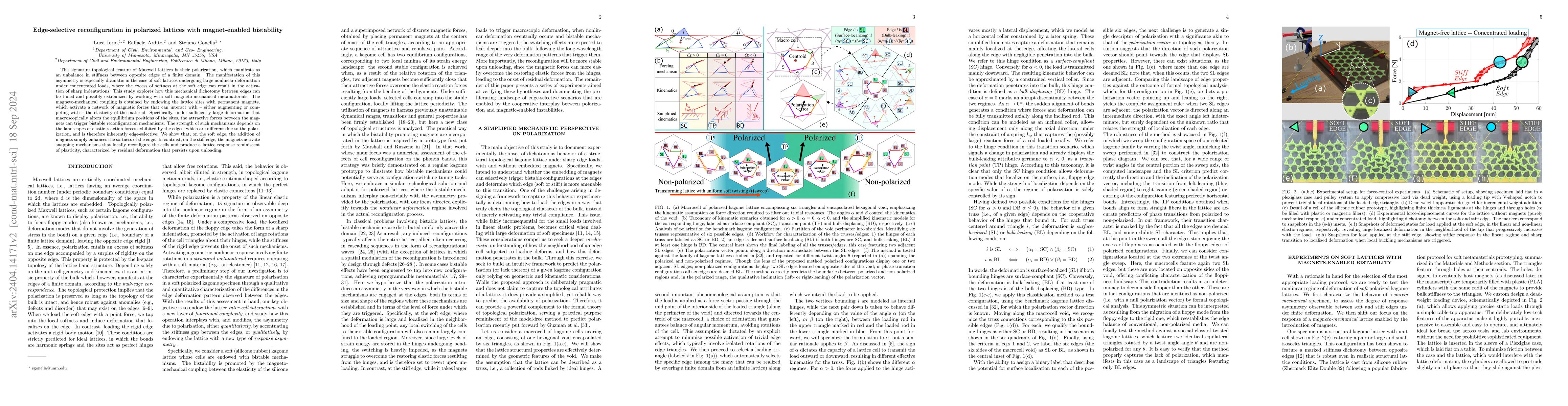 Thumbnail for Edge-selective reconfiguration in polarized lattices with magnet-enabled
  bistability