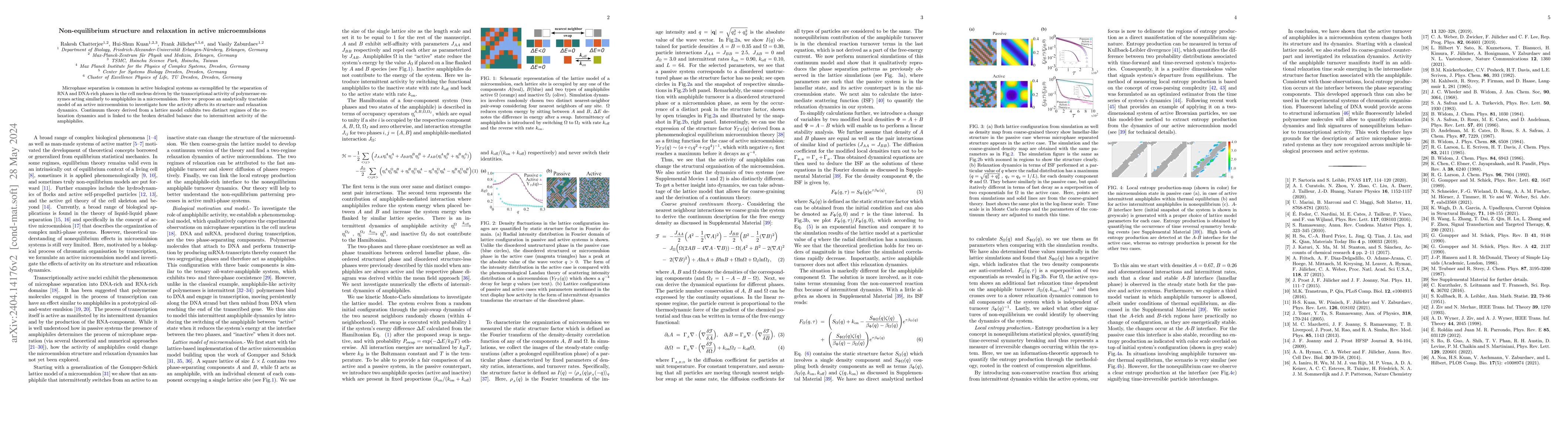 Thumbnail for Non-equilibrium structure and relaxation in active microemulsions