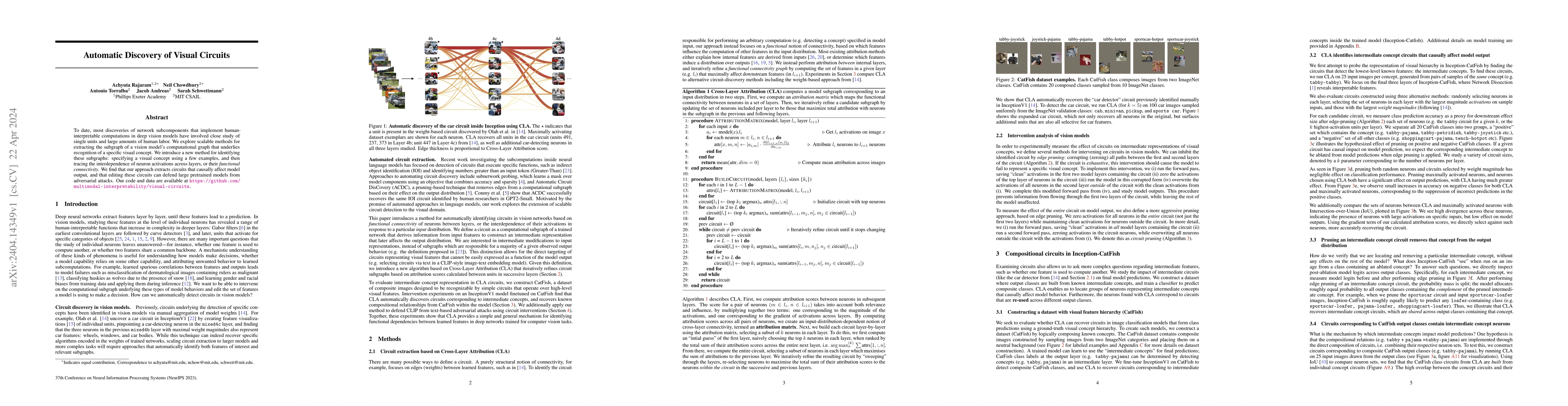Thumbnail for Automatic Discovery of Visual Circuits