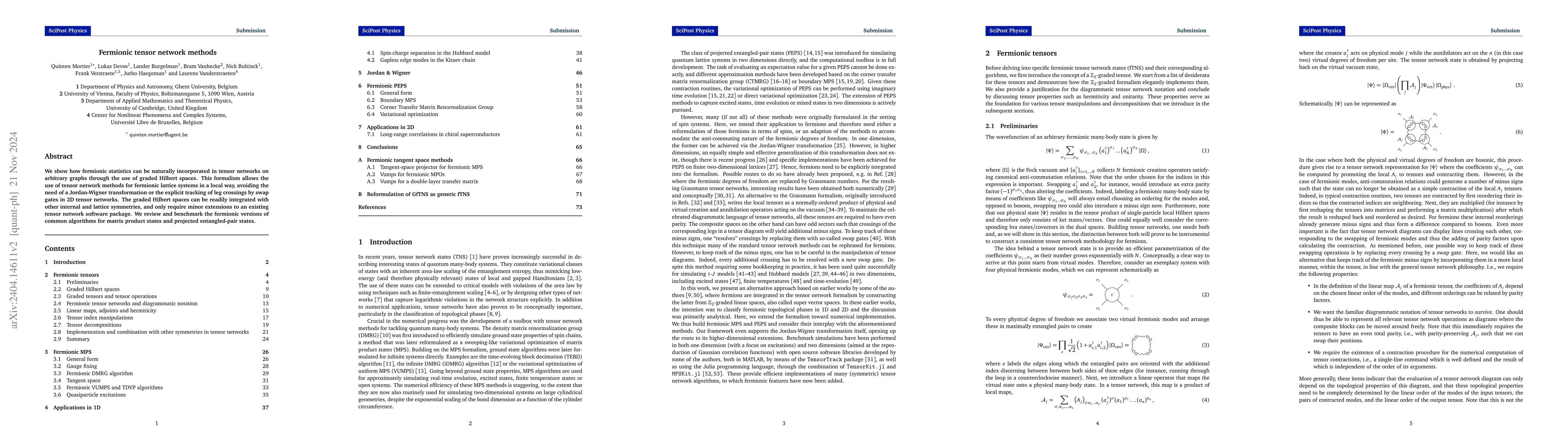 Thumbnail for Fermionic tensor network methods