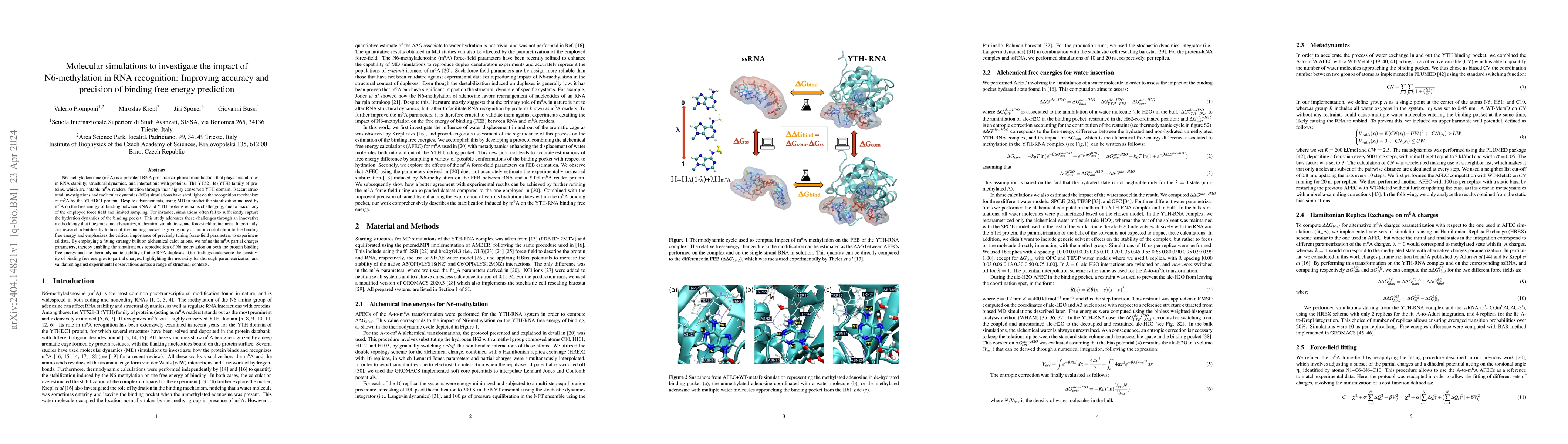 Thumbnail for Molecular simulations to investigate the impact of N6-methylation in RNA
  recognition: Improving accuracy and precision of binding free energy
  prediction