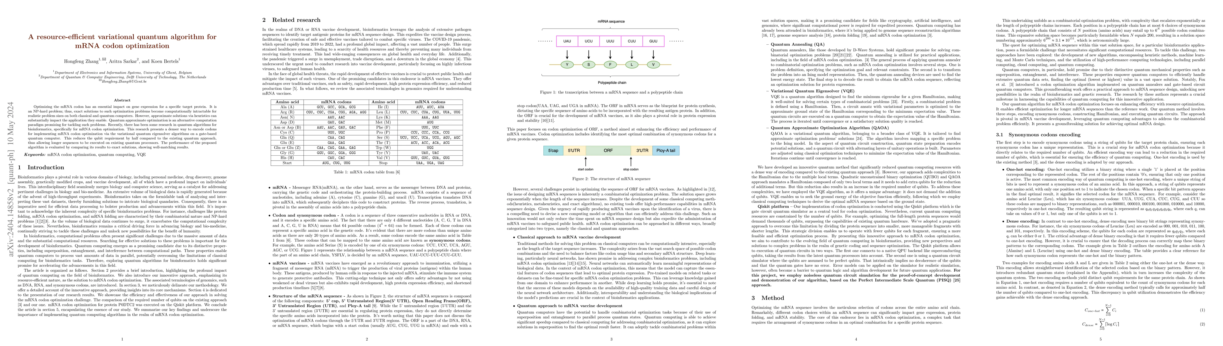 Thumbnail for A resource-efficient variational quantum algorithm for mRNA codon
  optimization