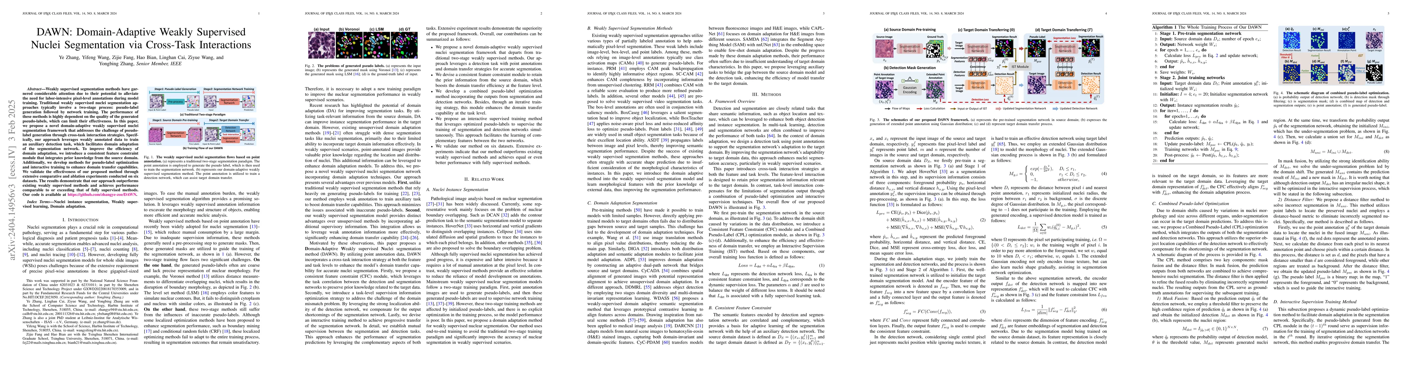 Thumbnail for DAWN: Domain-Adaptive Weakly Supervised Nuclei Segmentation via
  Cross-Task Interactions