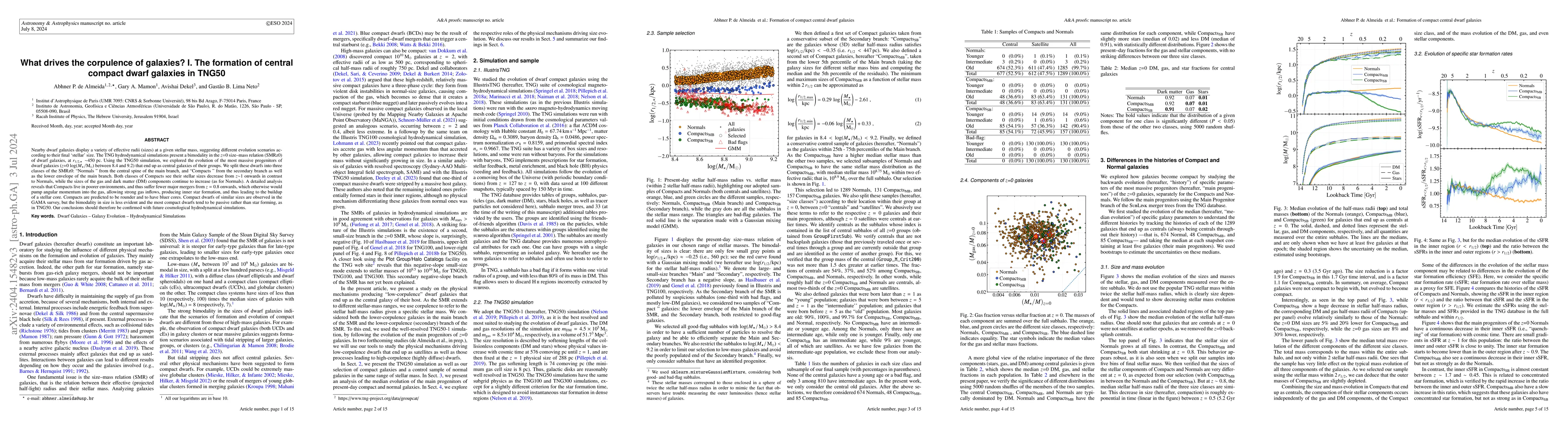Thumbnail for What drives the corpulence of galaxies? I. The formation of central
  compact dwarf galaxies in TNG50