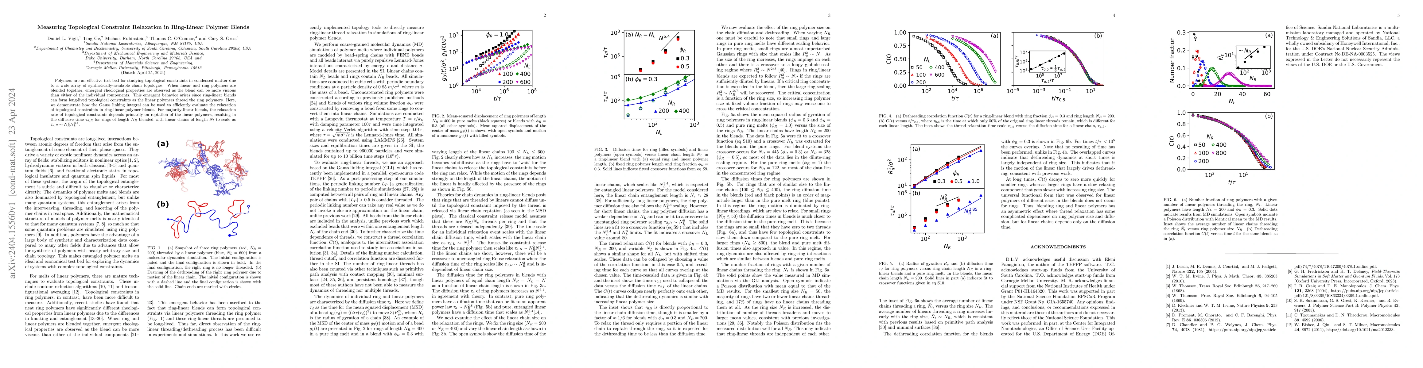 Thumbnail for Measuring topological constraint relaxation in ring-linear polymer
  blends