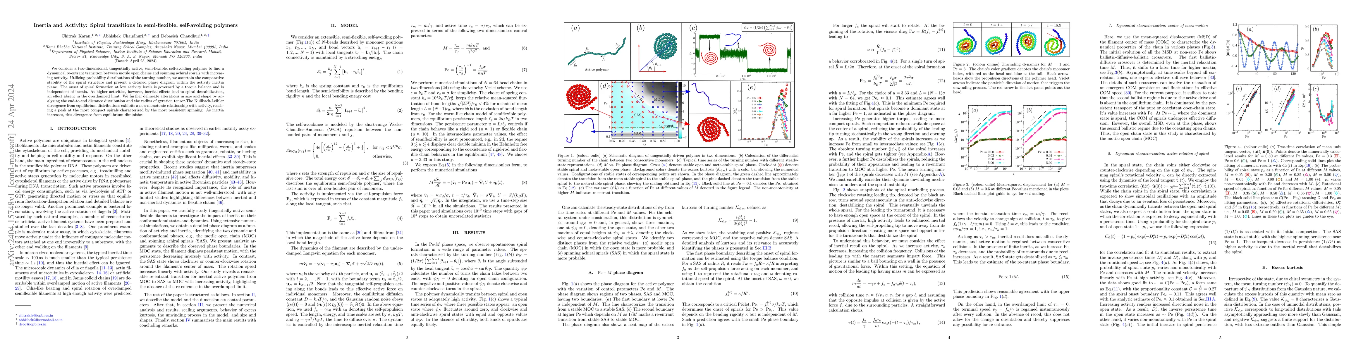 Thumbnail for Inertia and Activity: Spiral transitions in semi-flexible, self-avoiding
  polymers