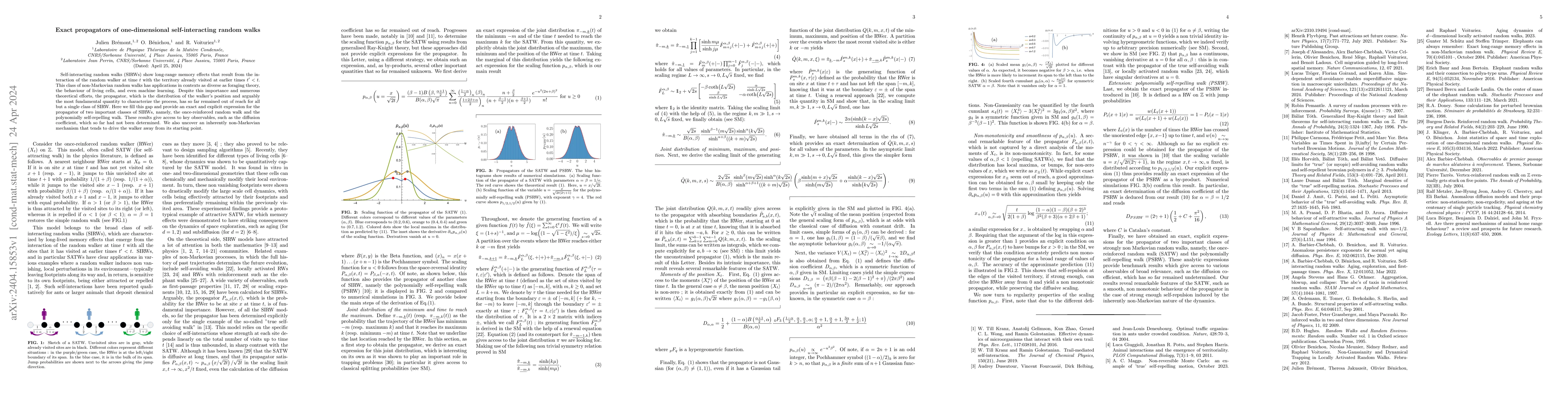 Thumbnail for Exact propagators of one-dimensional self-interacting random walks