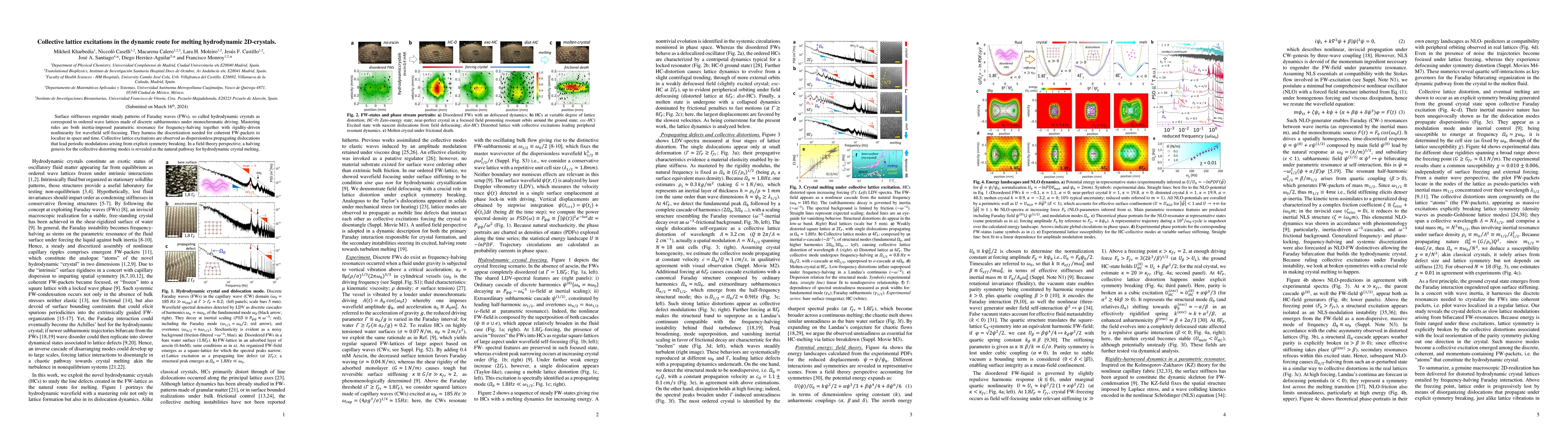 Thumbnail for Collective lattice excitations in the dynamic route for melting
  hydrodynamic 2D-crystals