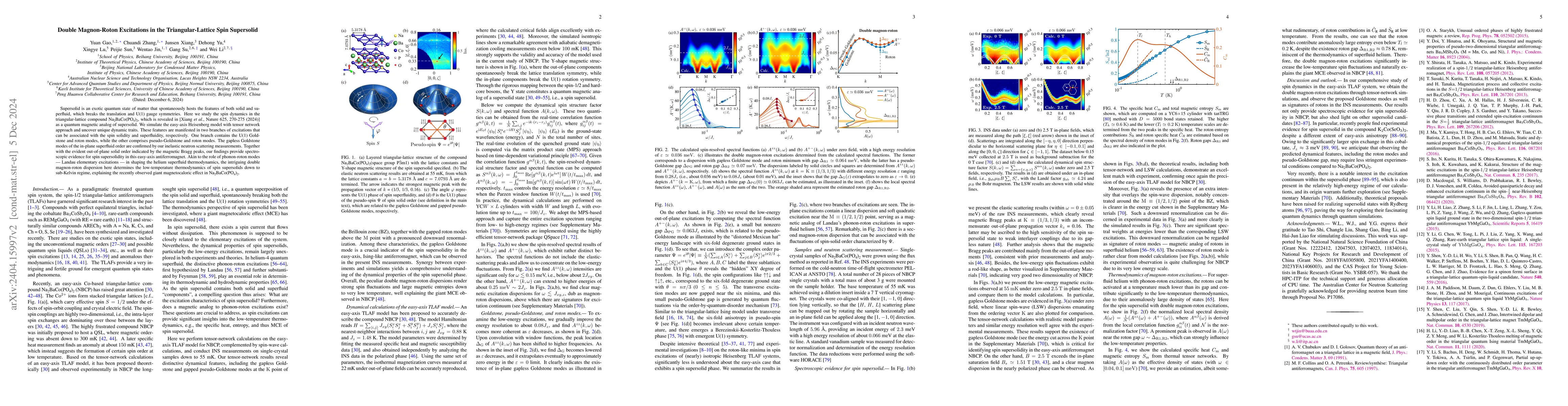 Thumbnail for Spin Supersolid Phase and Double Magnon-Roton Excitations in a
  Cobalt-based Triangular Lattice
