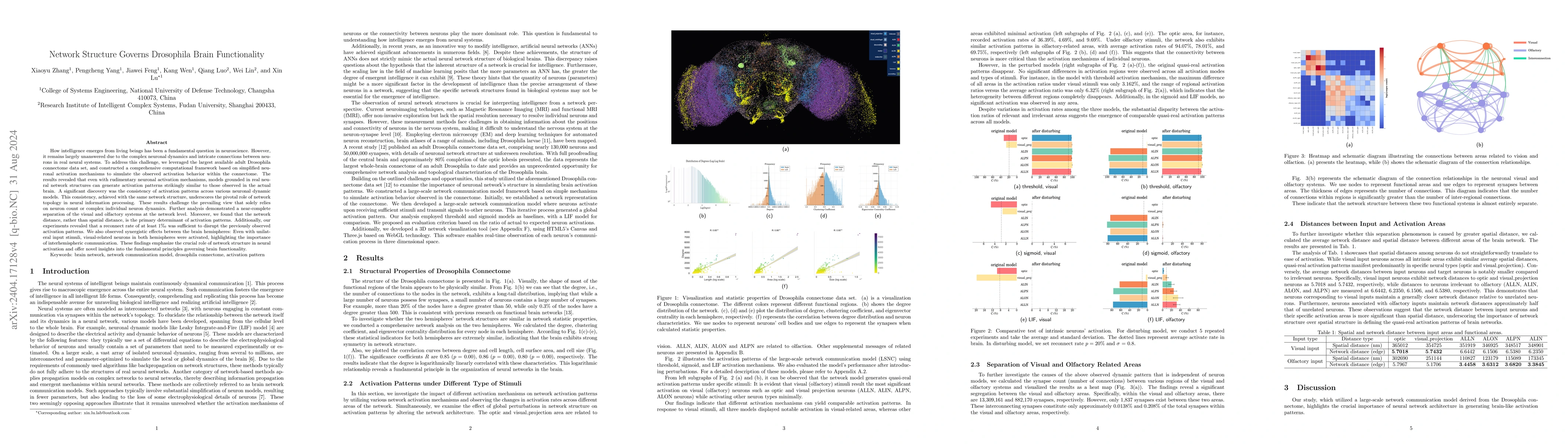 Thumbnail for Network Structure Trumps Neuron Dynamics: Insights from Drosophila
  Connectome Simulations