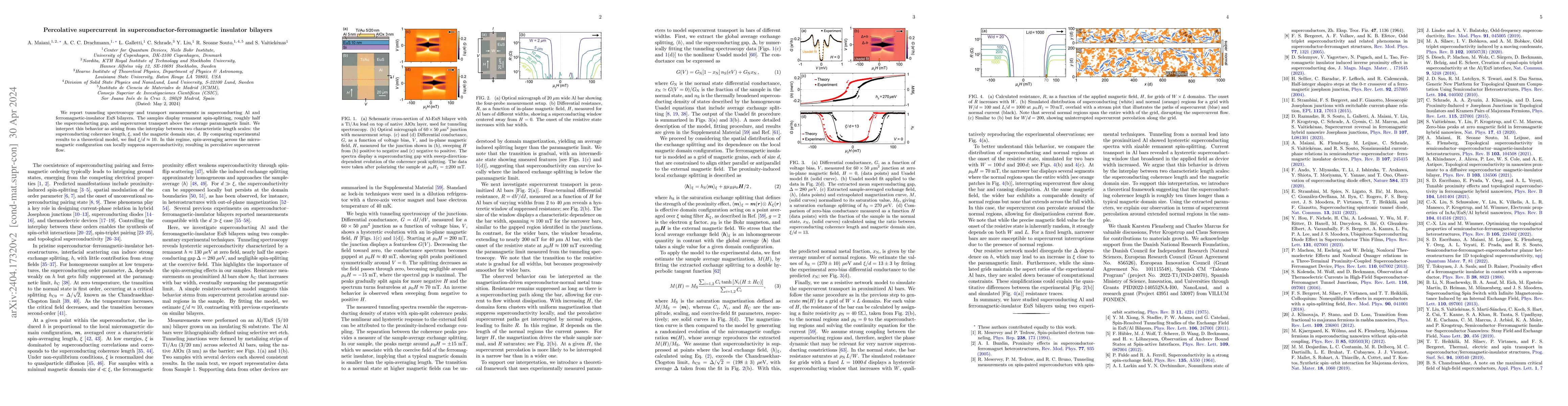 Thumbnail for Percolative supercurrent in superconductor-ferromagnetic insulator
  bilayers