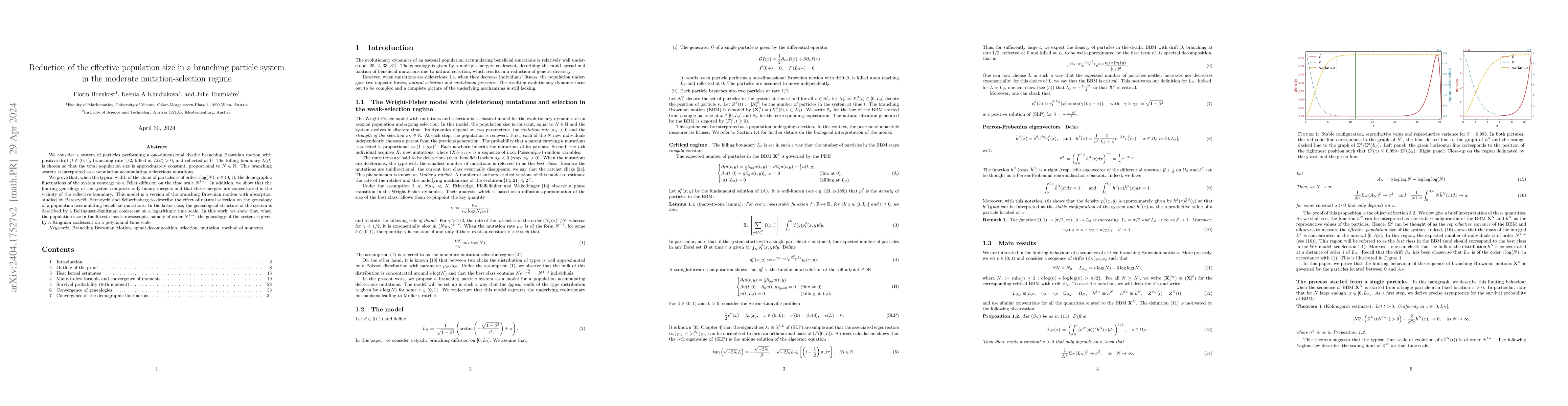 Thumbnail for Reduction of the effective population size in a branching particle
  system in the moderate mutation-selection regime