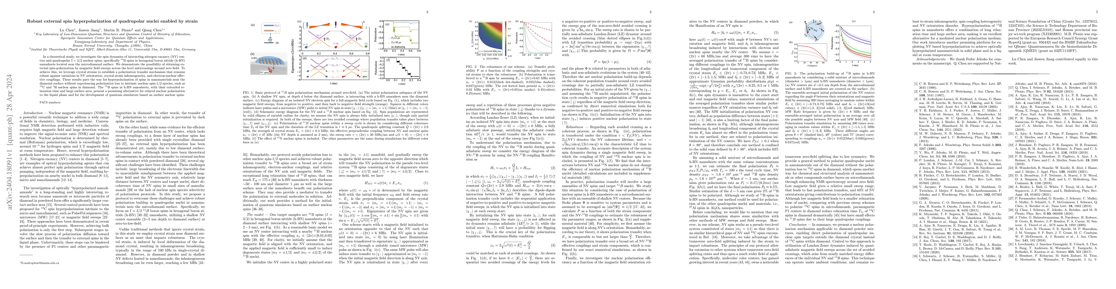 Thumbnail for Robust external spin hyperpolarization of quadrupolar nuclei enabled by
  strain