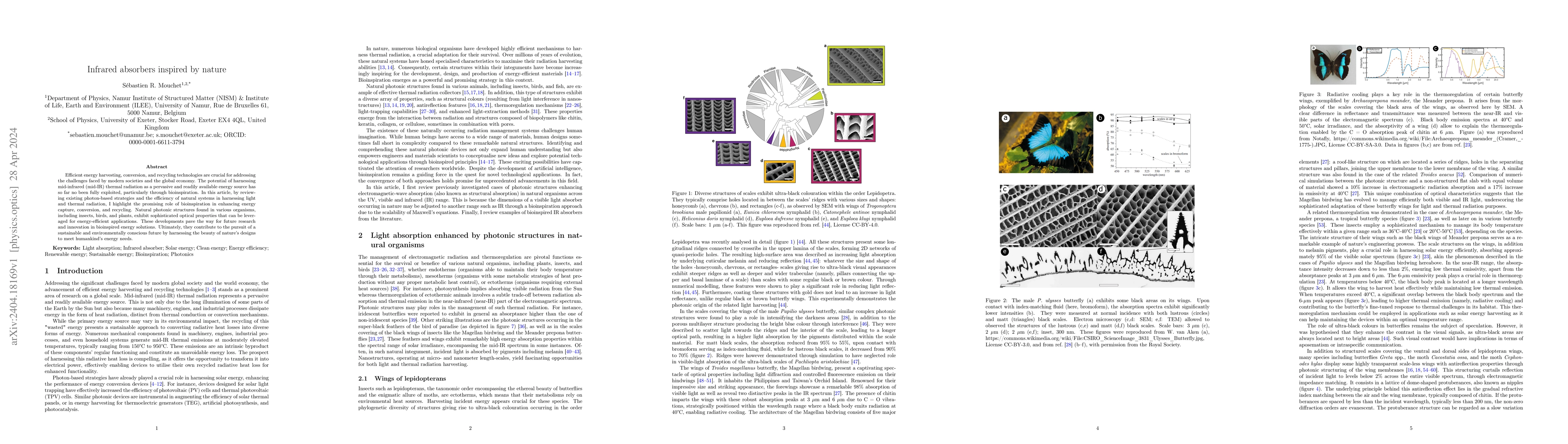 Thumbnail for Infrared absorbers inspired by nature