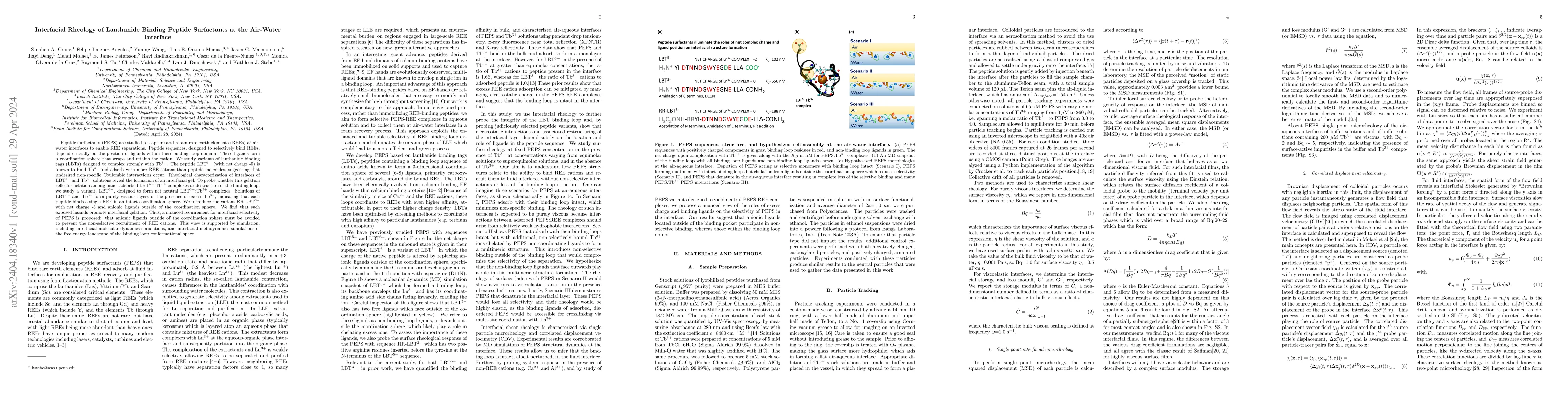 Thumbnail for Interfacial Rheology of Lanthanide Binding Peptide Surfactants at the
  Air-Water Interface