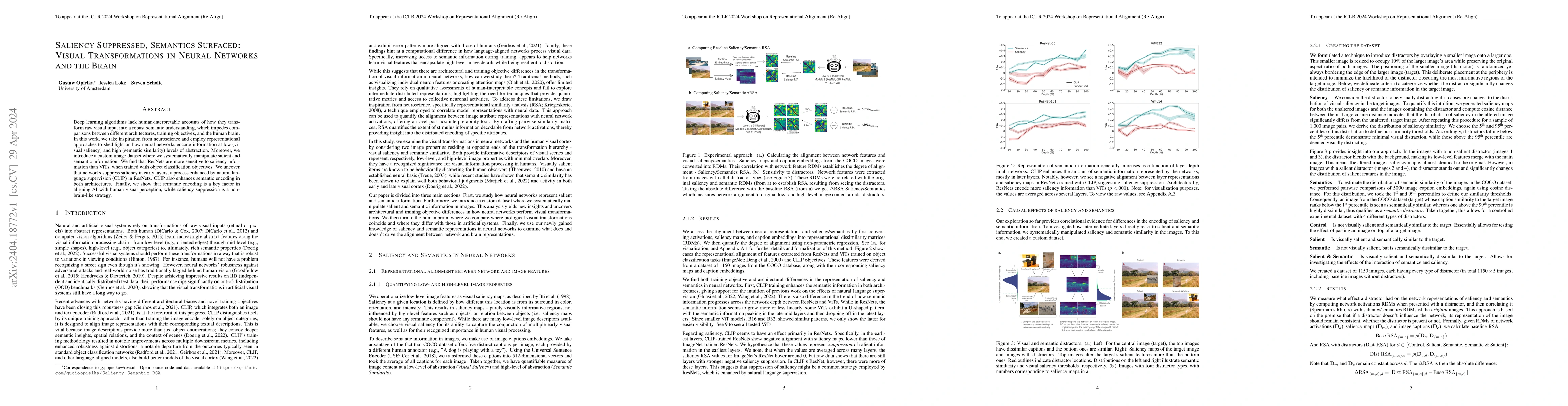 Thumbnail for Saliency Suppressed, Semantics Surfaced: Visual Transformations in
  Neural Networks and the Brain