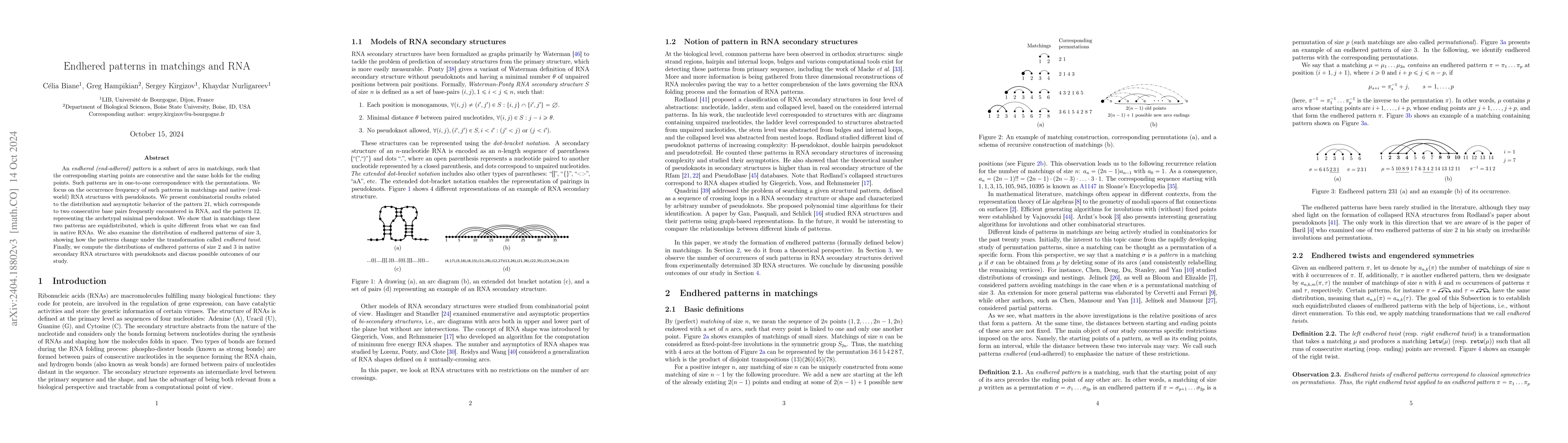 Thumbnail for Endhered patterns in matchings and RNA
