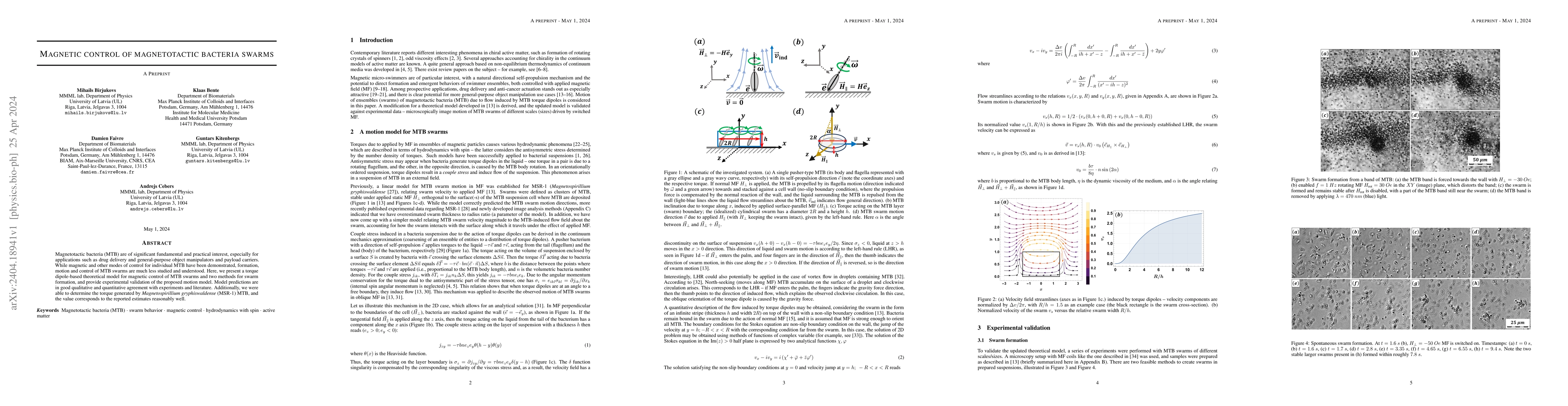 Thumbnail for Magnetic control of magnetotactic bacteria swarms