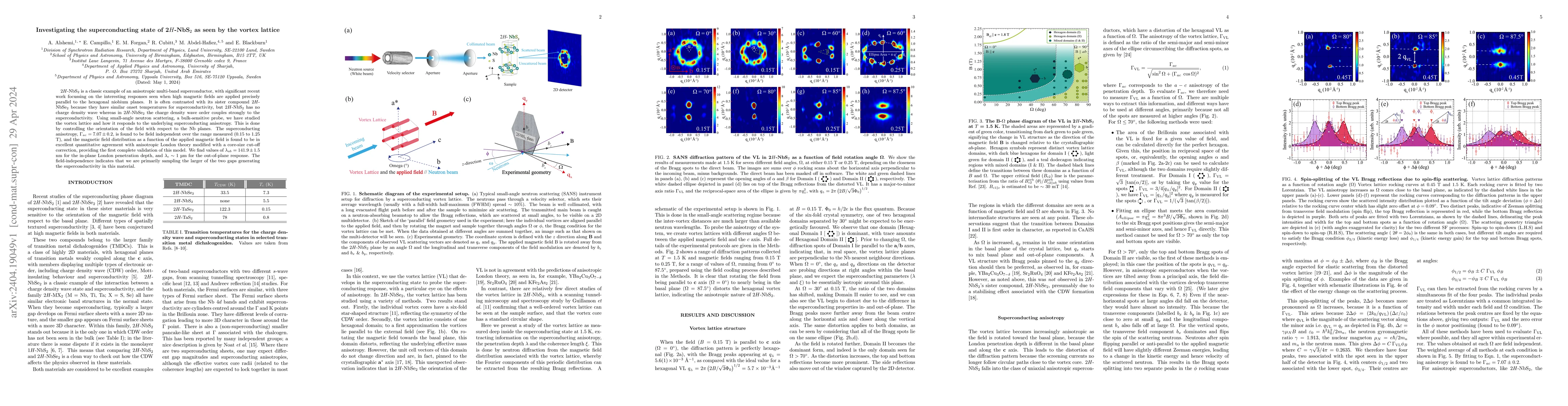 Thumbnail for Investigating the superconducting state of 2$H$-NbS$_2$ as seen by the
  vortex lattice
