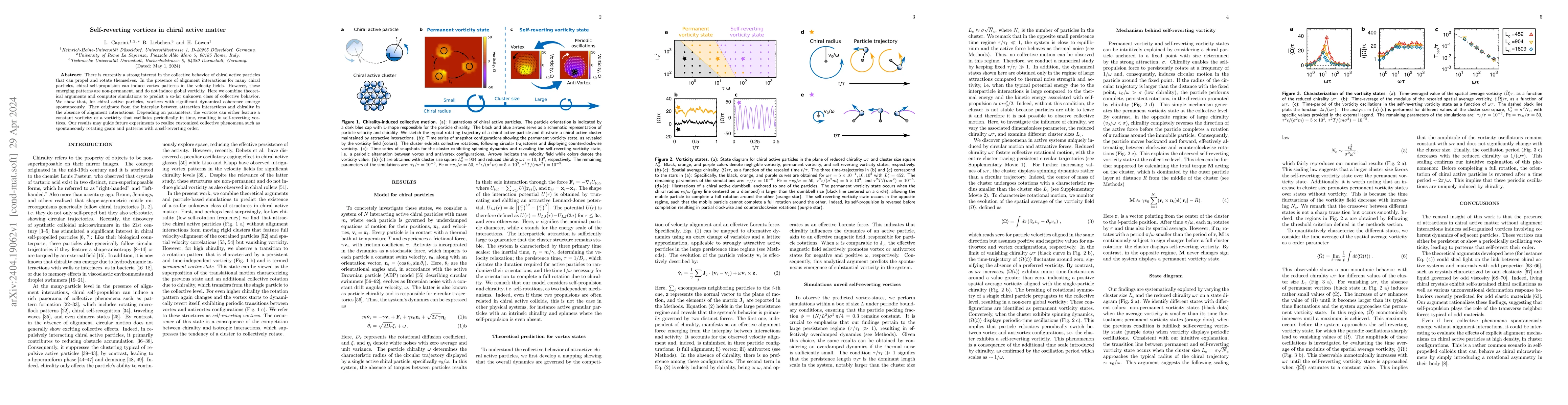 Thumbnail for Self-reverting vortices in chiral active matter
