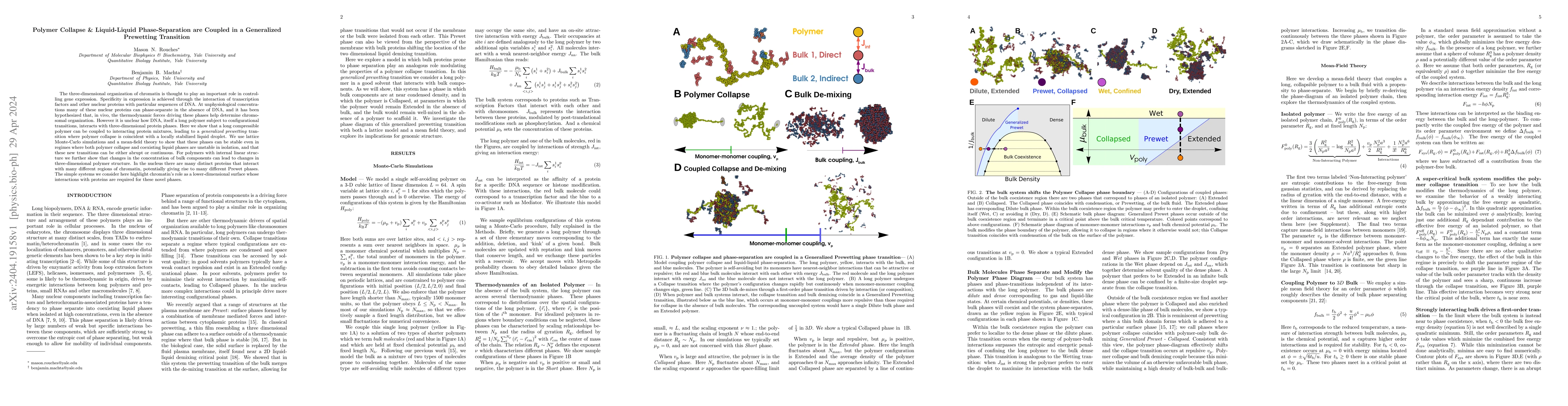 Thumbnail for Polymer Collapse and Liquid-Liquid Phase-Separation are Coupled in a
  Generalized Prewetting Transition