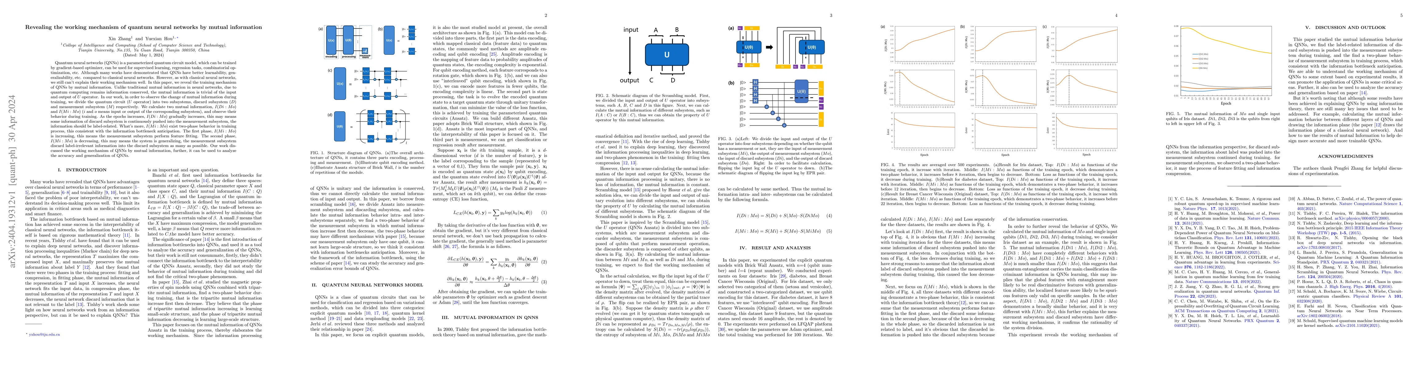 Thumbnail for Revealing the working mechanism of quantum neural networks by mutual
  information