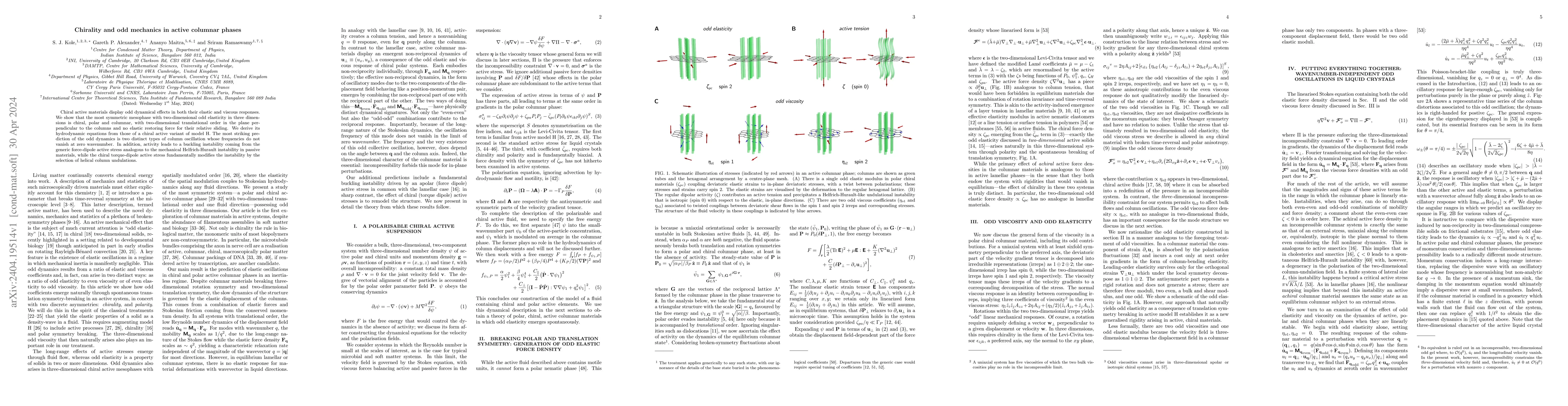 Thumbnail for Chirality and odd mechanics in active columnar phases