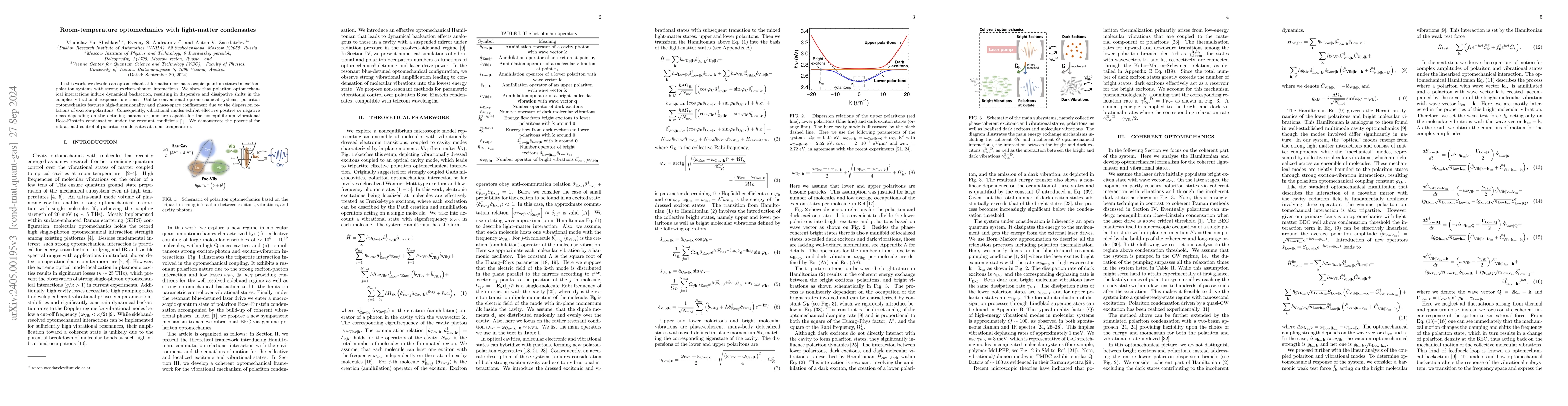 Thumbnail for Room-temperature optomechanics with light-matter condensates