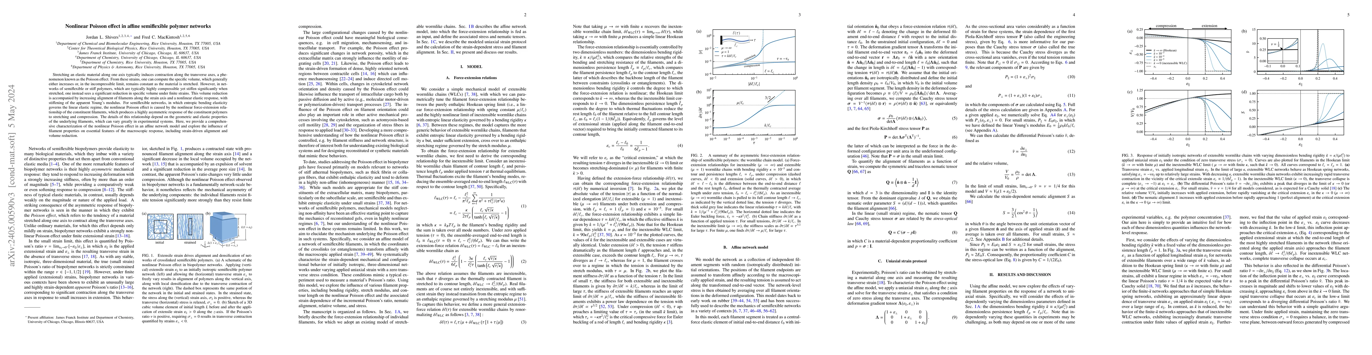 Thumbnail for Nonlinear Poisson effect in affine semiflexible polymer networks