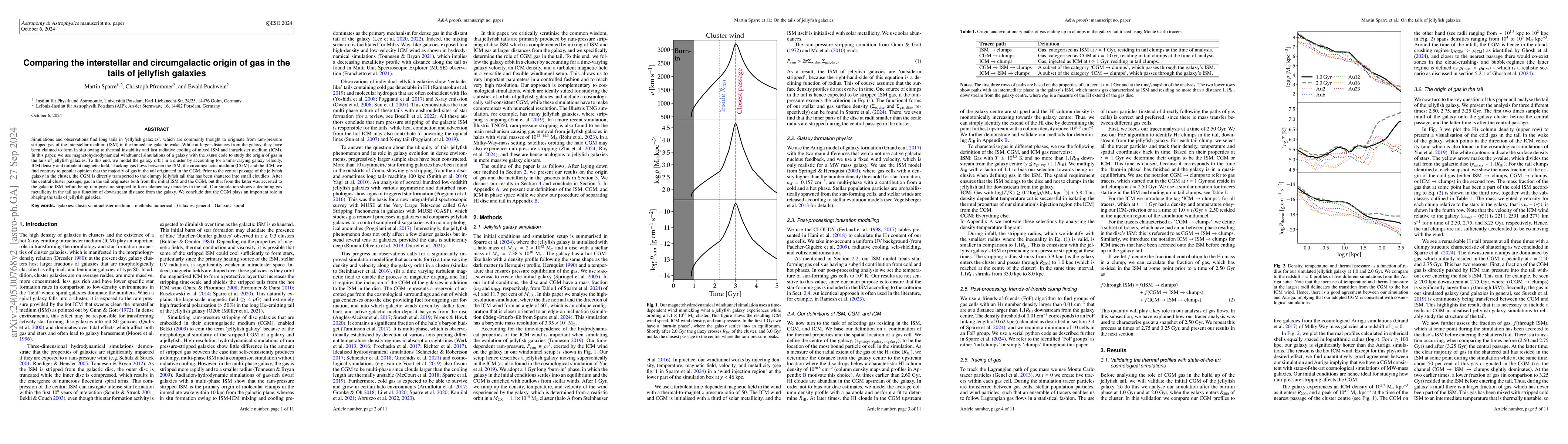 Thumbnail for Comparing the interstellar and circumgalactic origin of gas in the tails
  of jellyfish galaxies