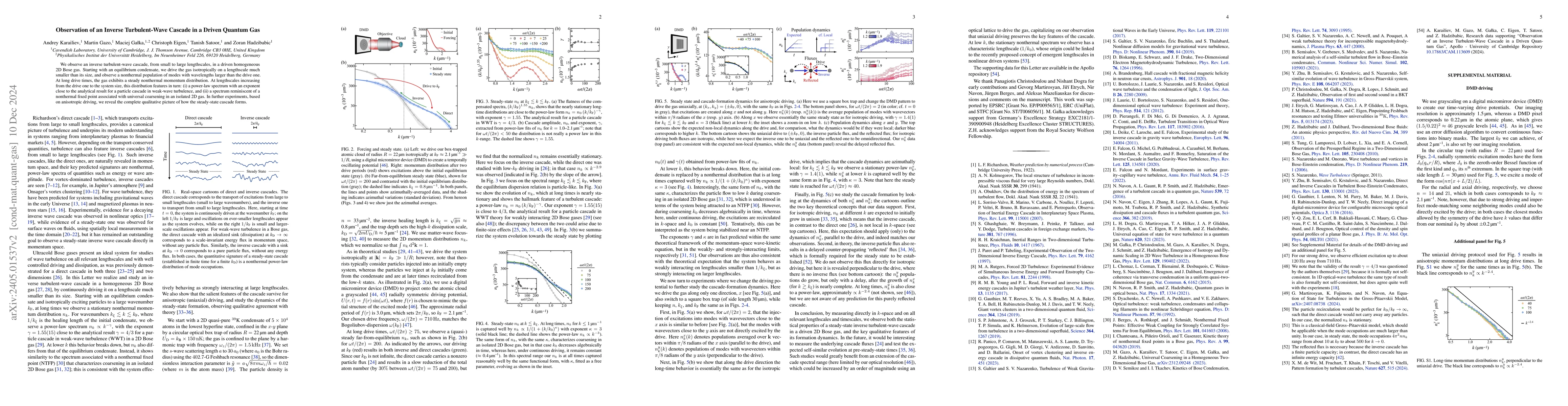 Thumbnail for Observation of an inverse turbulent-wave cascade in a driven quantum gas