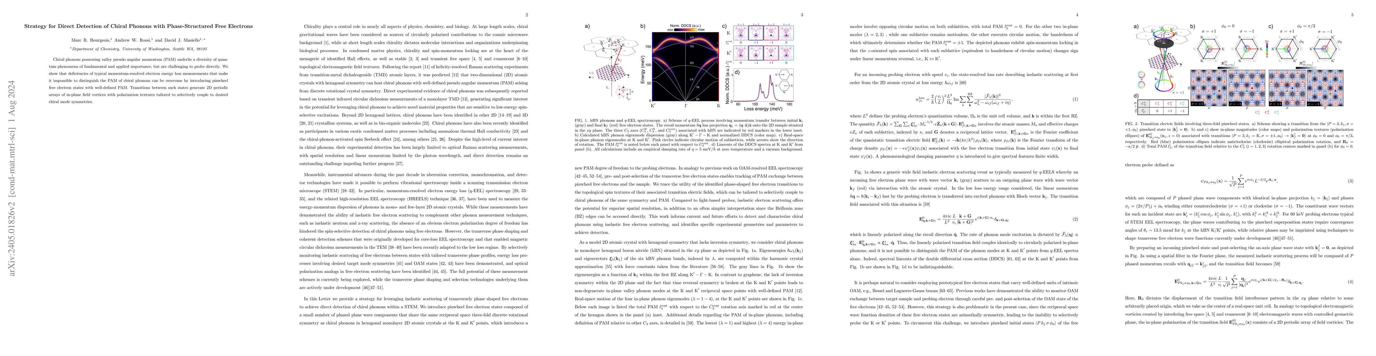 Thumbnail for Strategy for Direct Detection of Chiral Phonons with Phase-Structured
  Free Electrons