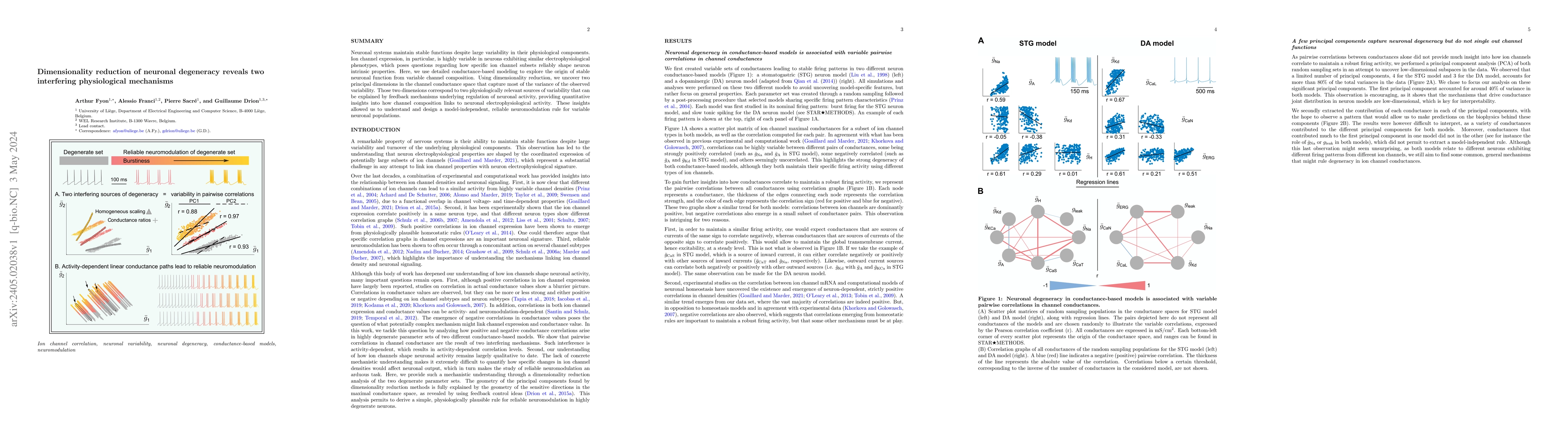 Thumbnail for Dimensionality reduction of neuronal degeneracy reveals two interfering
  physiological mechanisms