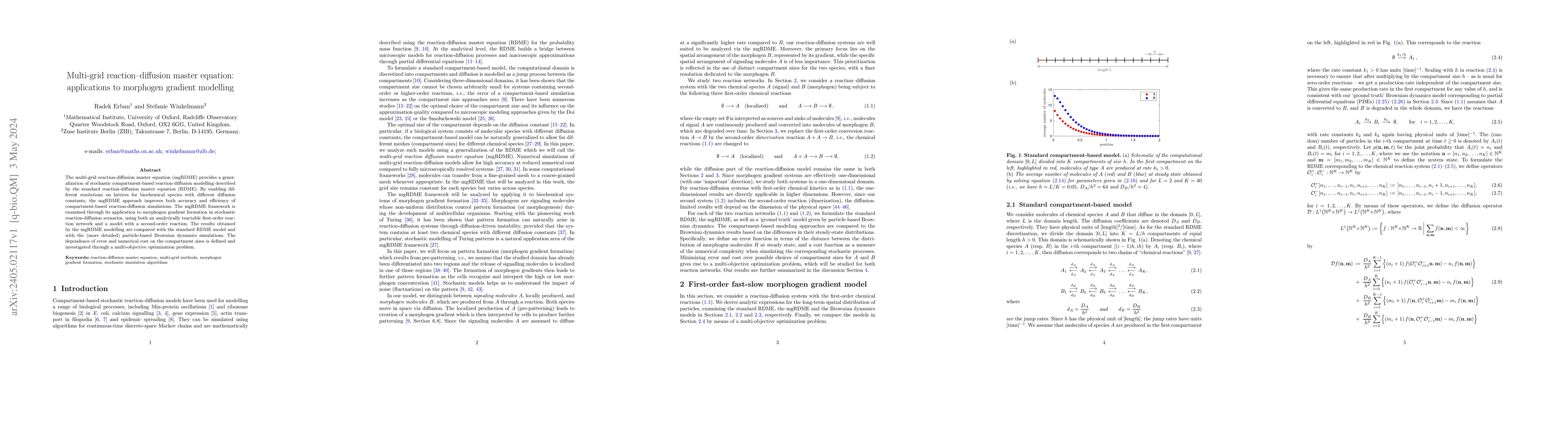Thumbnail for Multi-grid reaction-diffusion master equation: applications to morphogen
  gradient modelling