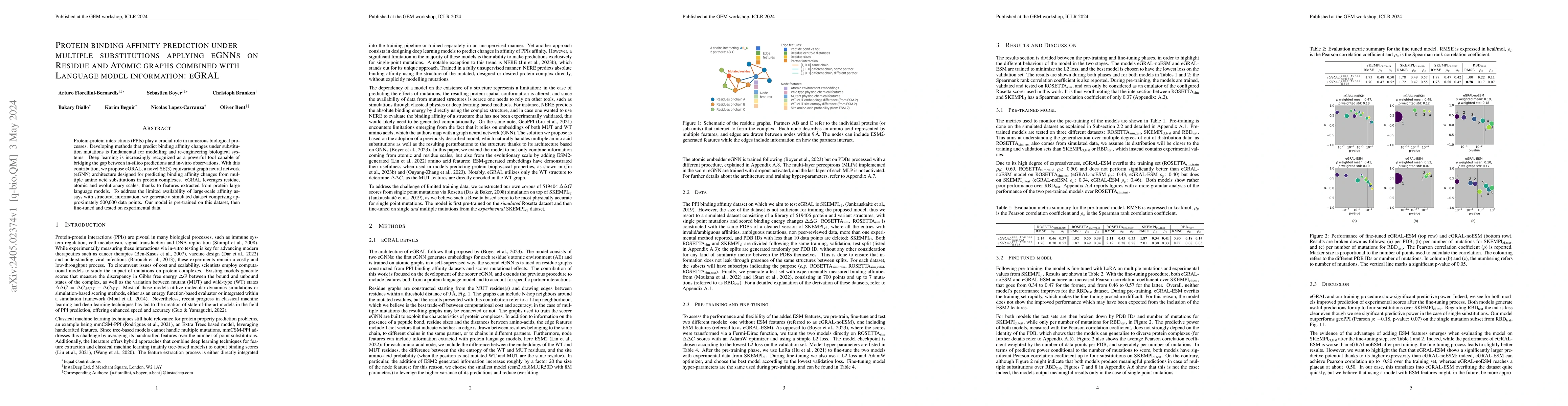 Thumbnail for Protein binding affinity prediction under multiple substitutions
  applying eGNNs on Residue and Atomic graphs combined with Language model
  information: eGRAL