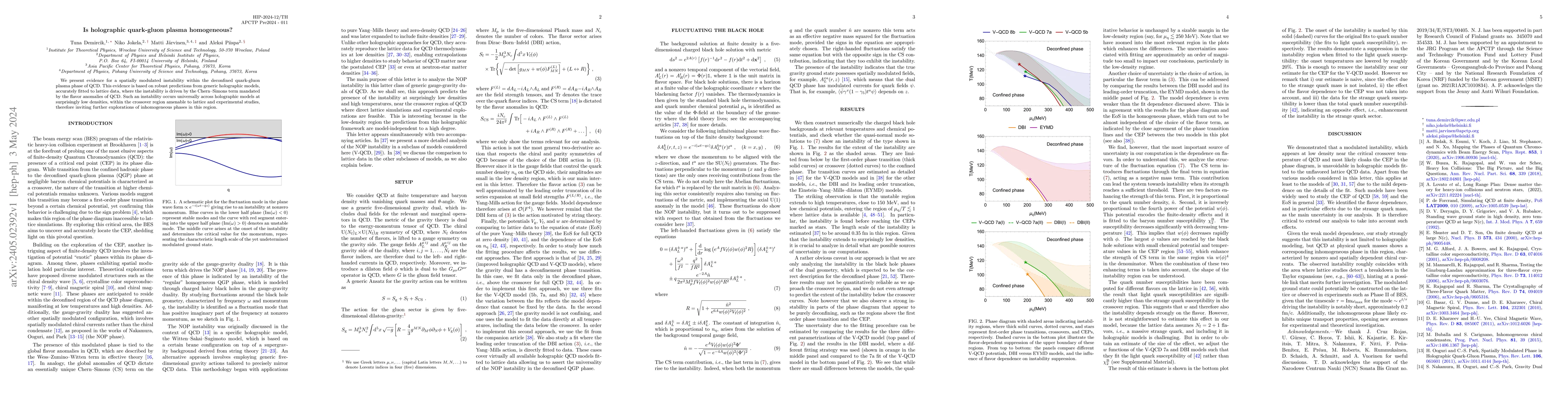 Thumbnail for Is holographic quark-gluon plasma homogeneous?