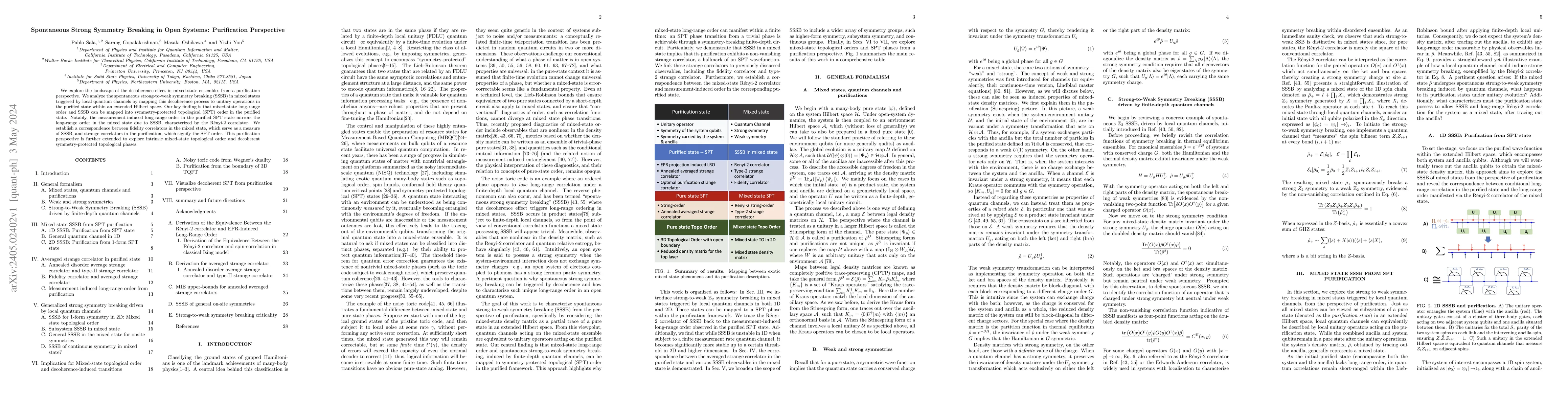 Thumbnail for Spontaneous Strong Symmetry Breaking in Open Systems: Purification
  Perspective
