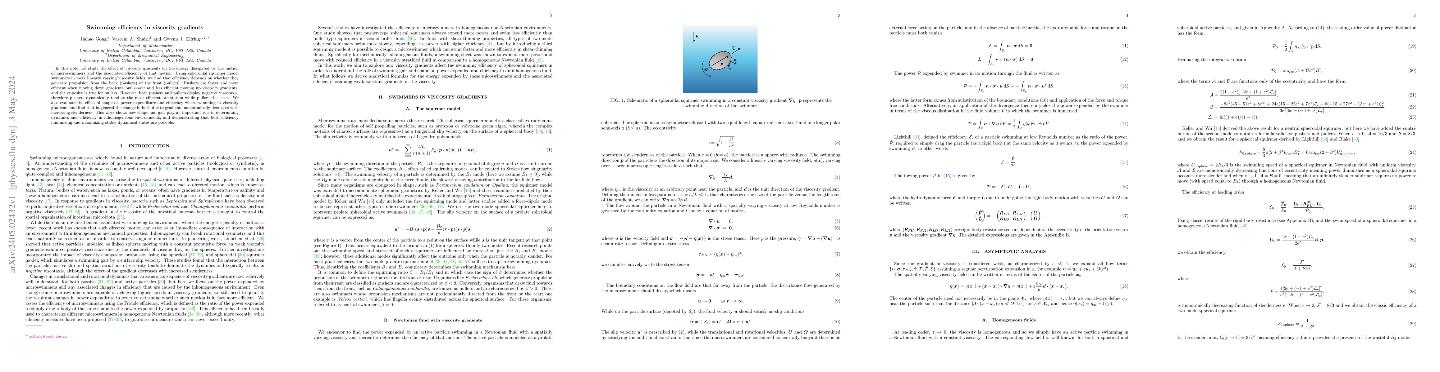 Thumbnail for Swimming efficiency in viscosity gradients