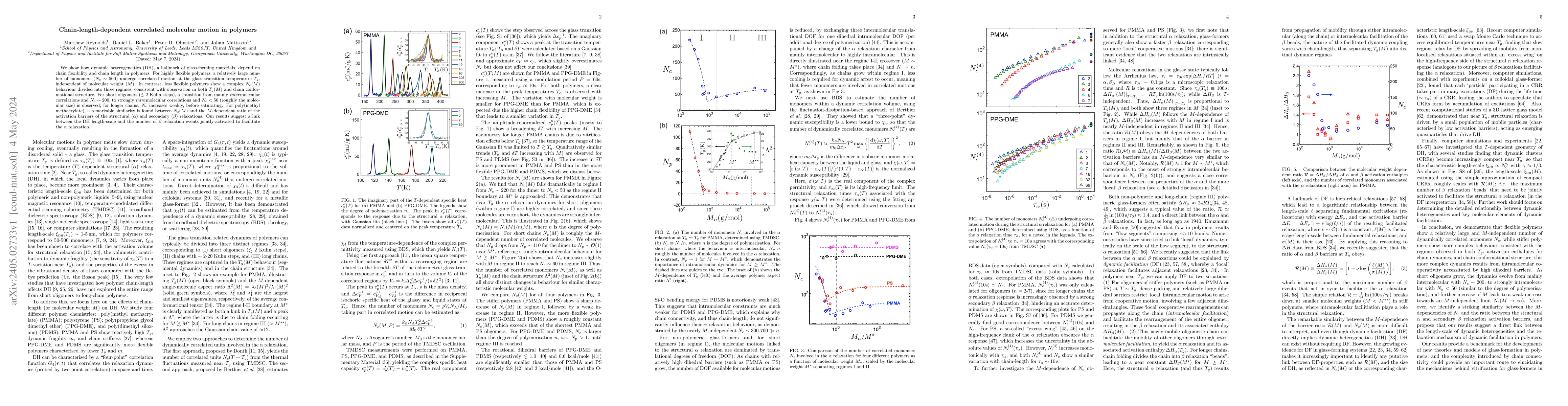 Thumbnail for Chain-length-dependent correlated molecular motion in polymers