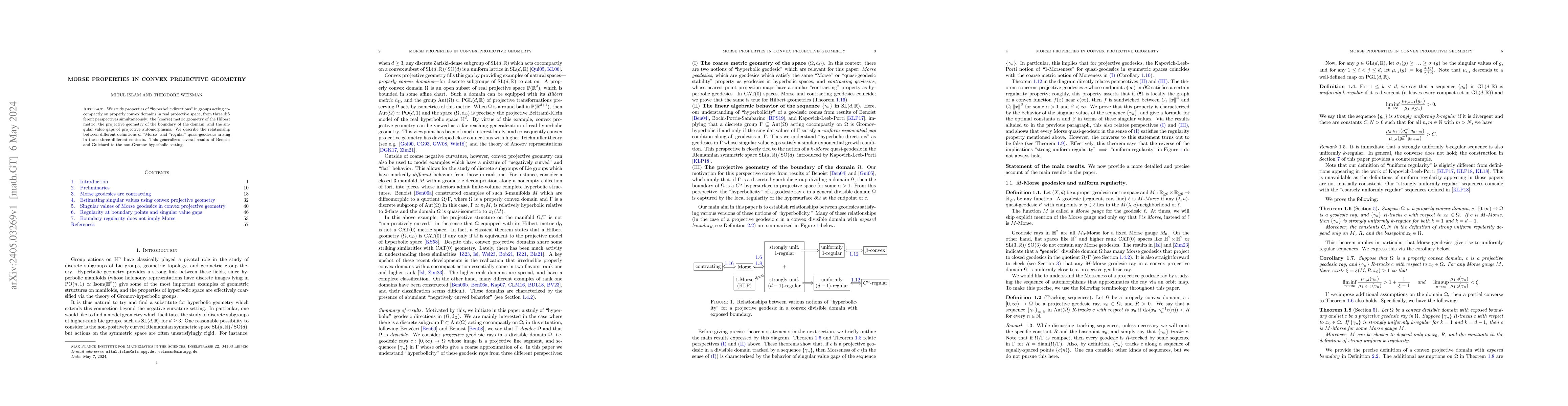 Thumbnail for Morse properties in convex projective geometry