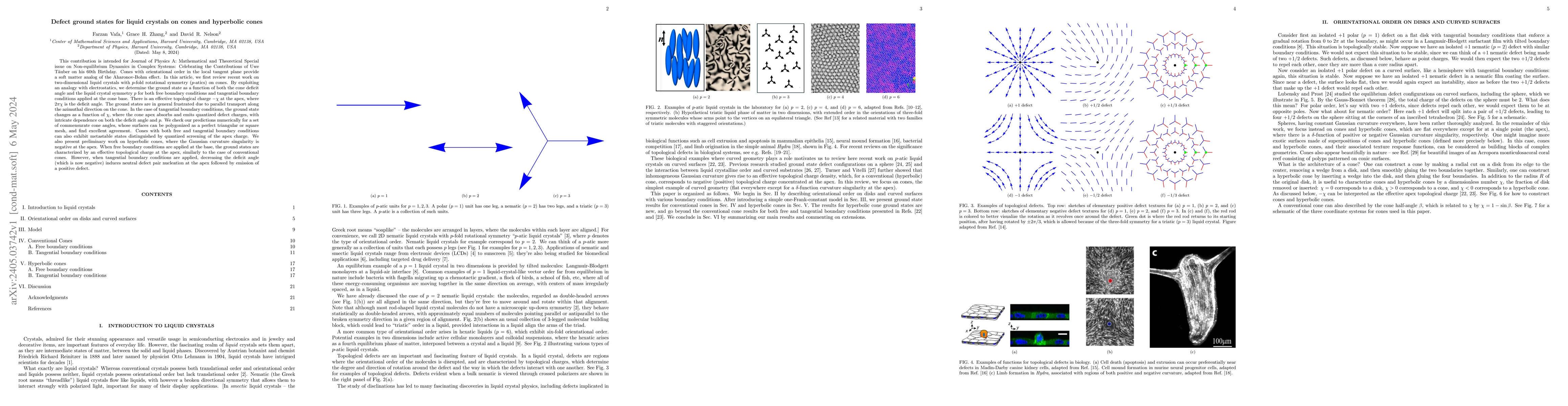 Thumbnail for Defect ground states for liquid crystals on cones and hyperbolic cones