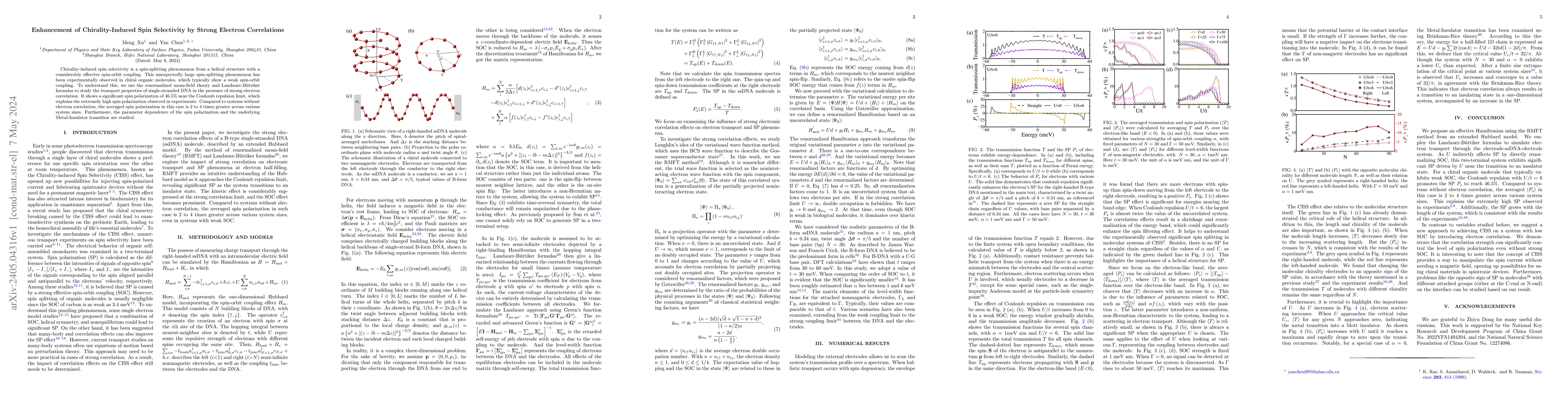 Thumbnail for Enhancement of Chirality-Induced Spin Selectivity by Strong Electron
  Correlations