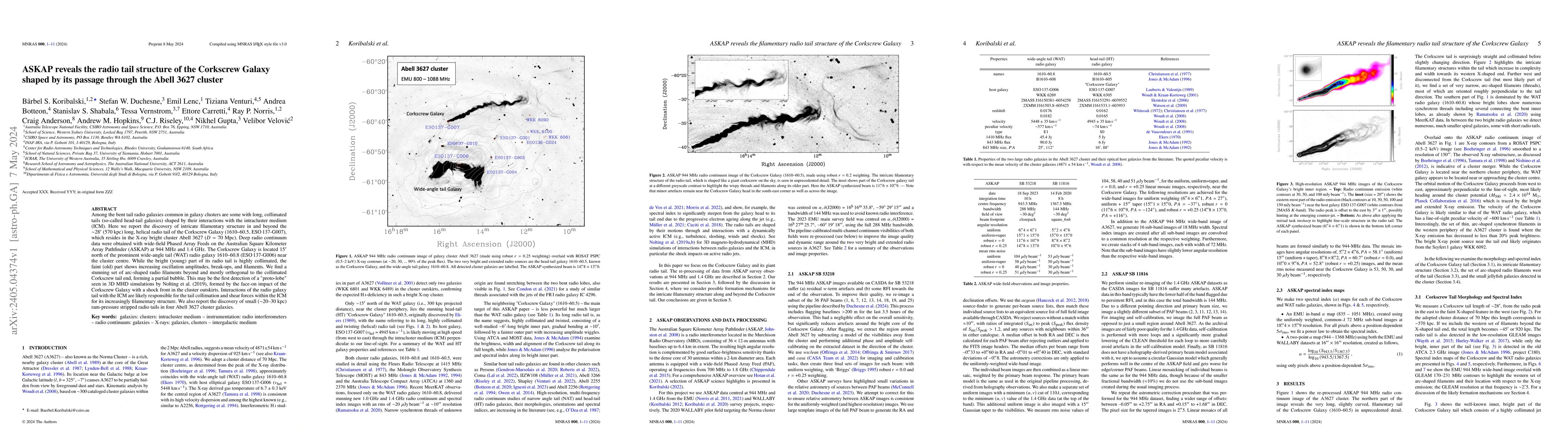 Thumbnail for ASKAP reveals the radio tail structure of the Corkscrew Galaxy shaped by
  its passage through the Abell 3627 cluster