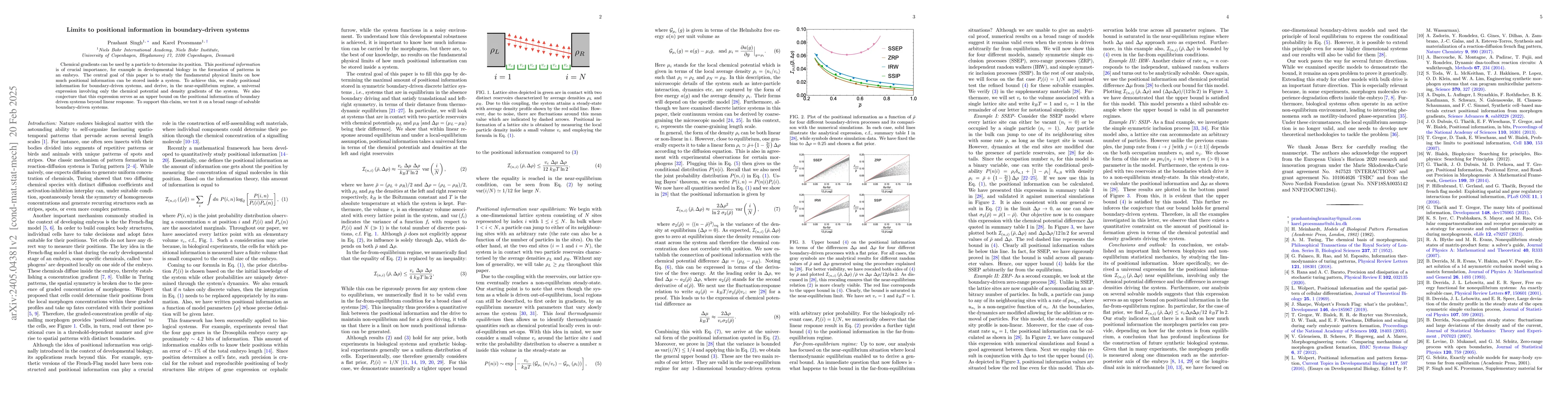 Thumbnail for Limits to positional information in boundary-driven systems