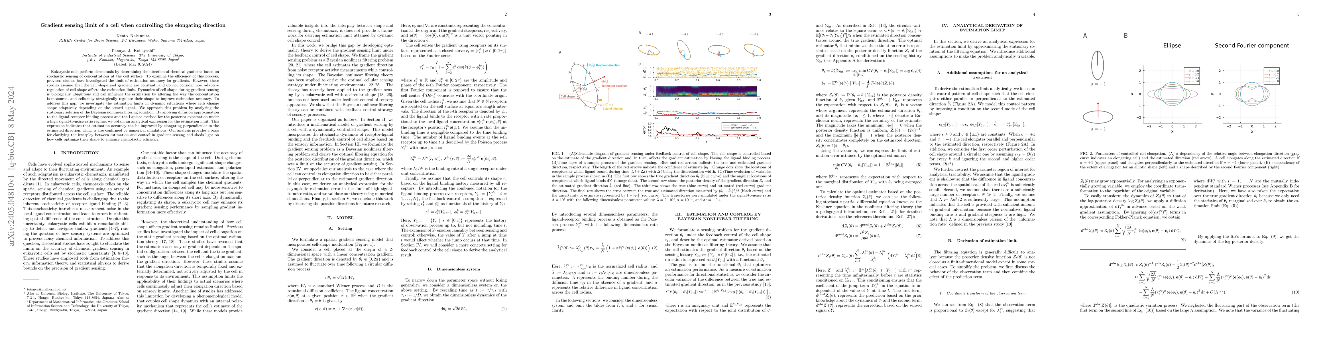 Thumbnail for Gradient sensing limit of a cell when controlling the elongating
  direction