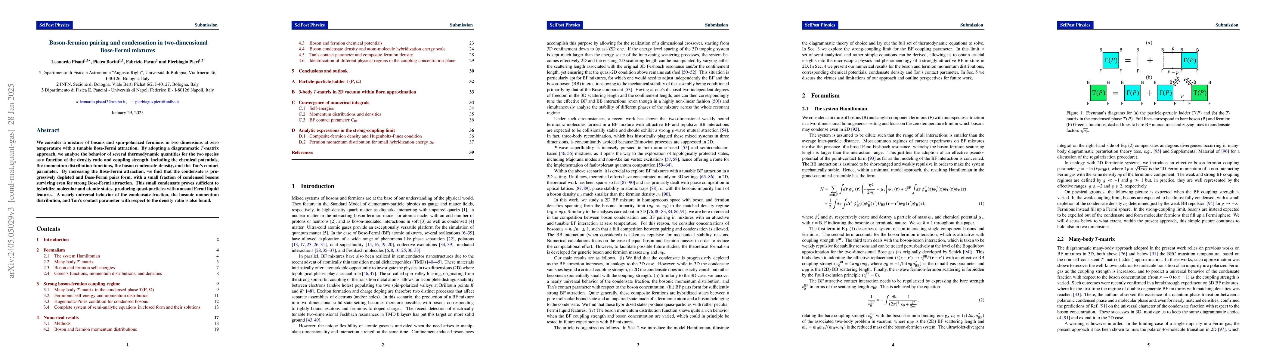 Thumbnail for Boson-fermion pairing and condensation in two-dimensional Bose-Fermi
  mixtures